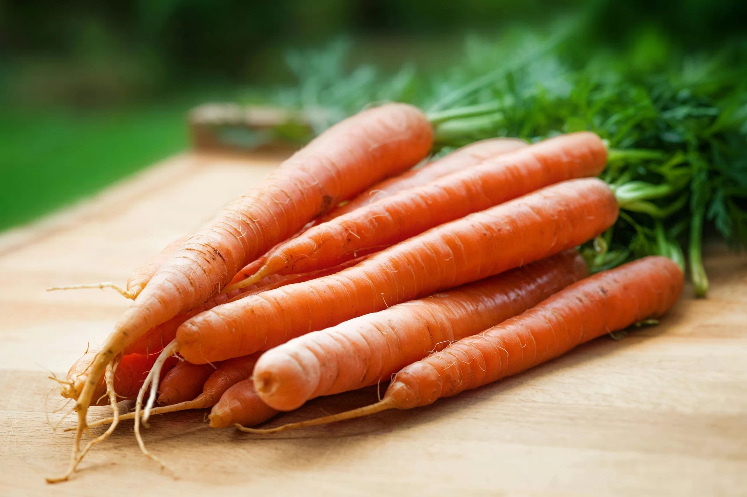 carrots nutrition