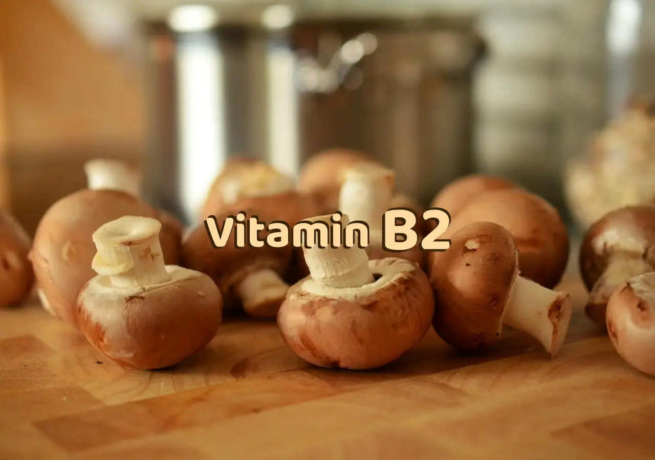 vitamin b2 benefits